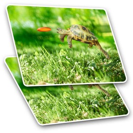 Rectangle Stickers (Set of 2) 10cm - Tortoise Turtle Jumping Frisbee Fun Decals for Laptops,Tablets,Luggage,Scrap Booking,Fridges, #14390