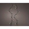 Lumineo Basic Classic Warm Fairy Lights – 40 LEDs –