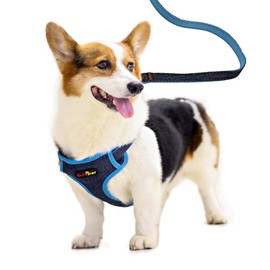 Harness, Leashe, Soft, Pet Supplies, Dog Harness, Vest Harness, Dog Harness, Dog Harness, Dog Harness, Pulling Prevention, Collar, Training, Walking, Lead Set, Breathable, Adjustable, Denim Fabric,