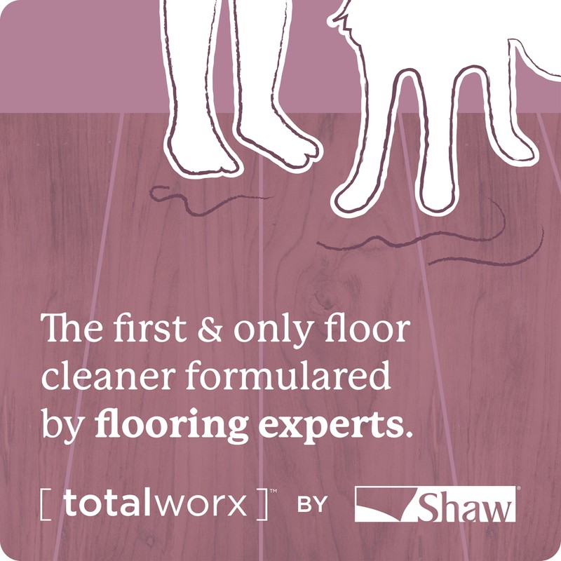Shaw Floors Carpet Cleaner| Stain & Soil Remover for Carpet,