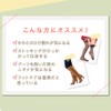 Perorin Foot Peeling Pack, Perorin, Yuzu, 1 Dose, 1 Pack
