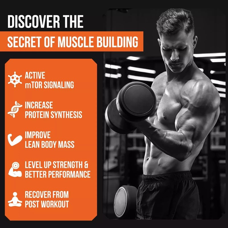 Thalacy 2000mg Liposomal Phosphatidic Acid Muscle Builder PA High Absorption