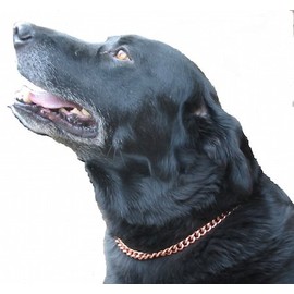 Copper Magnetic Therapy Dog Collars Made to Measure in Solid Copper with Magnets (24 inch)