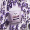 Colonial Candle French Lavender Scented Jar Candle, 2 Wick, 3.5