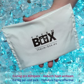 THERM BOX Professional Polystyrene Box 12BL with 2 x Ice Packs for Cool Box Set 12 L Interior: 36 x 26 x 13 cm Transport Box Reusable