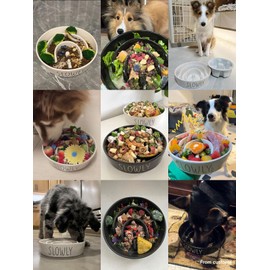 Ceramic Slow Feeder Dog Bowls Small Breed, 0.6 Cups Dog Food Dish for Fast Eaters, Puzzle Bowl for Small Dogs and Cats,Black