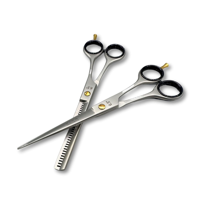 Professional 6.5 Inch Hair Scissors & Thinning Shears Texturing Set