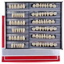 168 dientes falsos dentales de resina acrílica completa, 23 tonos de color, material superior A2+materiales dentales inferiores para reemplazo, bricolaje o Halloween