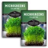 2 Packs Cilantro Microgreens Seeds for Planting and Growing -