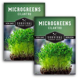 2 Packs Cilantro Microgreens Seeds for Planting and Growing - Plant Green Leafy Micro Herb Plants Indoors - Grow A Mini Windowsill Garden - Non-GMO Heirloom