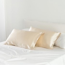 Waterlily 100% Mulberry Silk Pillowcase for Hair and Skin Envelope Pillowcases 50x75 Both Sides 19 Momme Charmeuse Soft Pure Natural Organic Luxury Pillow Case Cover (2, Cream)