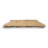 Champion 3000 DD; Essick N31D Aspen Evaporative Swamp Cooler Pads
