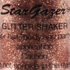 Stargazer Glitter Shaker Copper Loose Glitter