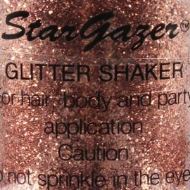 Stargazer Glitter Shaker Copper Loose Glitter