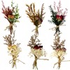 CROISSANT Mini Dried Flower Bouquet 6PCS, Mixed Natural Mini Dried