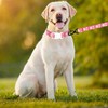 Pimaodog Girl Dog Collars with Daisy Patterns, Cute Dog Collar