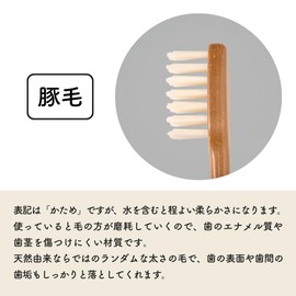 ファイン MEGURU 竹の歯ブラシ 豚毛 4本セット 生分解性 脱プラ国産歯ブラシ エコ