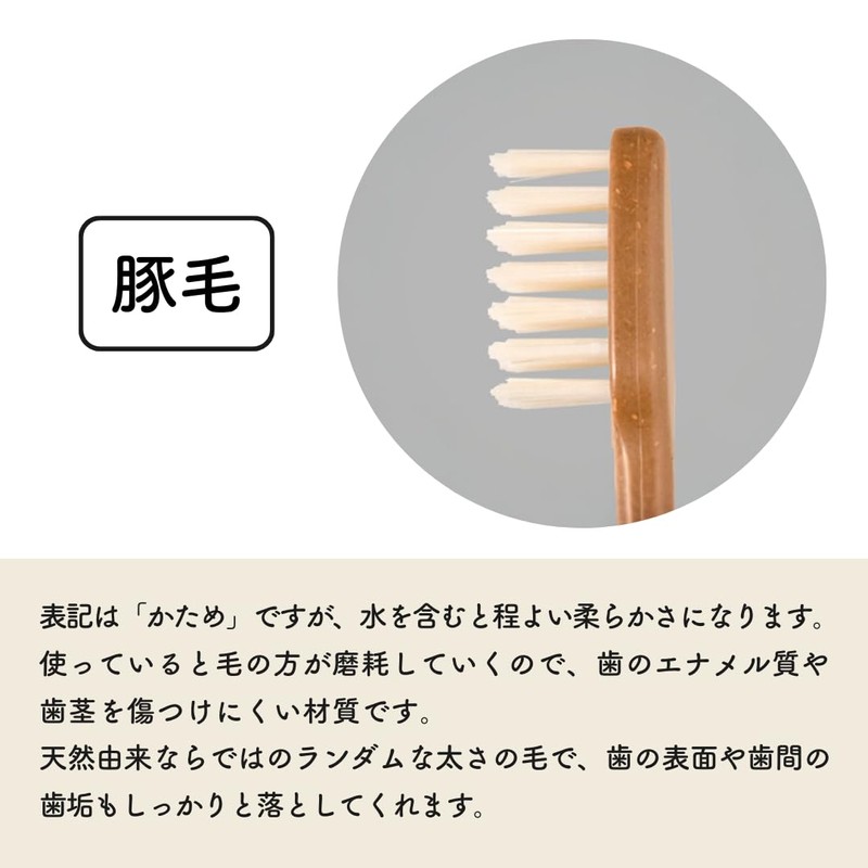ファイン MEGURU 竹の歯ブラシ 豚毛 4本セット 生分解性 脱プラ国産歯ブラシ エコ