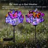 Doingart Outdoor Solar Garden Lights - 2 Pack Solar Powered