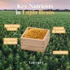 Lupinery Lupin Beans – High Protein, Low Carb, Gluten-Free, Non-GMO