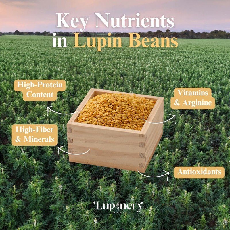 Lupinery Lupin Beans – High Protein, Low Carb, Gluten-Free, Non-GMO
