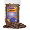 Premium Mango Tree Soil Mix by Gardenera - Stimulate Growth