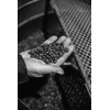Bristot Espresso Beans – Medium Roast Italian Whole Bean Coffee
