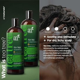 ArtNaturals - Champú y acondicionador para árbol de té (2 x 16 onzas líquidas / 473 ml) - Sin sulfatos - Aceite esencial de árbol de té de grado terapéutico - Limpieza profunda para caspa, piojos, cuero cabelludo seco y pelo picazón