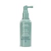 Scalp Solution (두피케어) 스칼프 솔루션 리프레싱 프로텍티브 미스트 100ml Scalp Solution Refreshing Protective Mist 100ml