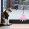 Unbranded 3pcs Cat Teaser Toy Set Suction Cup Feather Teaser