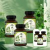 3+3 Refreshing Variable Aloe Tablets 120 tablets x 3 bottles + 3 bonus bottles (Total 6 bottles) / 3+3 상쾌한변수 알로에정 120정x3병+3병덤(총6병)