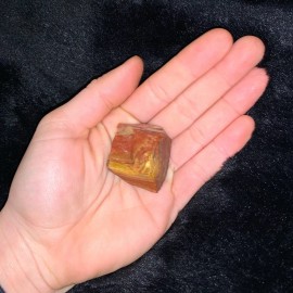 One (1) Charged Petrified Wood Rough Gemstone + A FREE Selenite Charging Stick