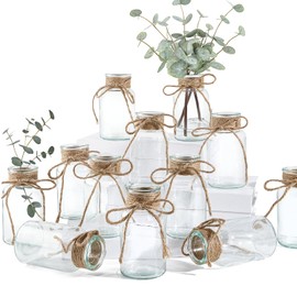 Glass Flower Vases for Centerpieces, 12Pcs Vintage Small Clear Bud Vase for Flowers Mini Crystal Decorative Bottle with Hemp Rope Bows for Housewarming Wedding Birthday Tabletop Decoration
