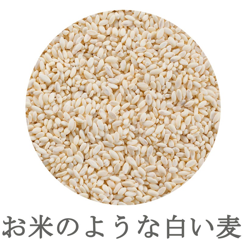 Hakubaku Barley Cracker, Pure Barley Stand Pack