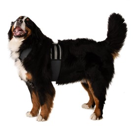 CoolerDog Dog Cooling Vest and Cooling Collar - Ice Vest for Dogs (XL)