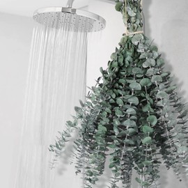 12 PCS Dried Eucalyptus Stems for Shower - 17" Preserved Eucalyptus Stems Shower Plant, Fresh Real Eucalyptus Leaves for Shower Hanging, Home Decor, Dried Flowers