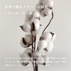 TRANPARAN Luxe Imabari Towel, Approved, Hotel Quality, Sanhokin Cotton, Made