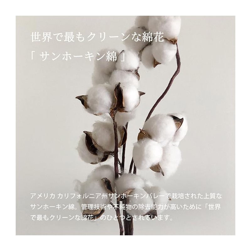 TRANPARAN Luxe Imabari Towel, Approved, Hotel Quality, Sanhokin Cotton, Made