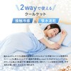 Sylphyz Towel Blanket, Single, Cool, Thin, For Summer, Reversible, 2