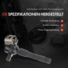 Frankberg 2 x Ignition Coil Ignition Module Compatible with 3