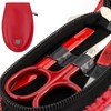 DREI SCHWERTER - Germany Piemont 6-Piece Manicure Set in Imitation