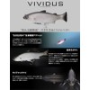 JACKALL (ジャッカル) Vividus (ヴィヴィダス) 145mm Rainbow Trout