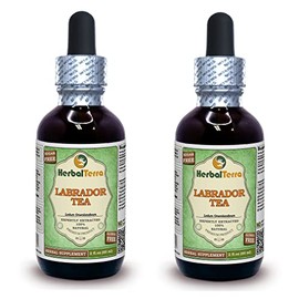 Labrador Tea (Ledum Groenlandicum) Glycerite, Dried Leaves Alcohol-Free Liquid Extract (Brand Name: HerbalTerra, Proudly Made in USA) 2x2 fl.oz (2x60 ml)