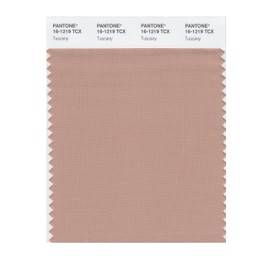PANTONE Smart 16-1219X Color Swatch Card, Tuscany