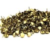C.S. Osborne 1000 Pcs 1/4" Brass Plated Nails #6920-BP Gold