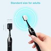 Big Mouth Sonic Toothbrush Refill Brush Heads – Compatible Toothbrush