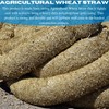 Vapor Barrier Supply - Straw Wattle - Straw Wattle, Wattles,