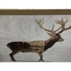 IKEA BJORNAMO - Poster, 11 ¾ x 7 ¾ Bear