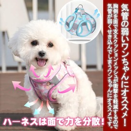 DICOCO Dog Harness Leash Set, Spring and Summer, Easy to Put on and Take Off, Lightweight, For Walks, Going Outs, Anti-Pull, Reflective Vest, Cat Harness, Stylish, Cute, Small and Medium Dogs,