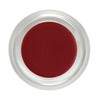 Living Libations - Organic / Wildcrafted Maiden Fern Blushing Balm